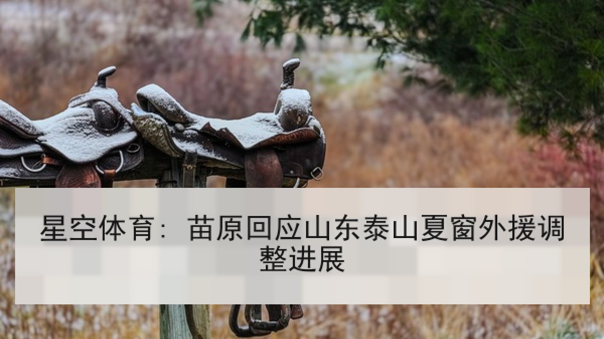 星空体育: 苗原回应山东泰山夏窗外援调整进展
