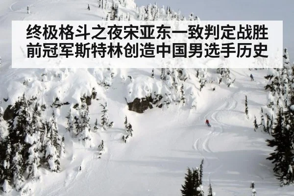终极格斗之夜宋亚东一致判定战胜前冠军斯特林创造中国男选手历史