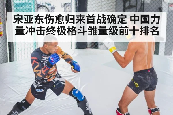 宋亚东伤愈归来首战确定 中国力量冲击终极格斗雏量级前十排名