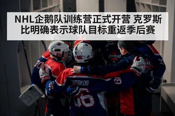 ice hockey team huddle
